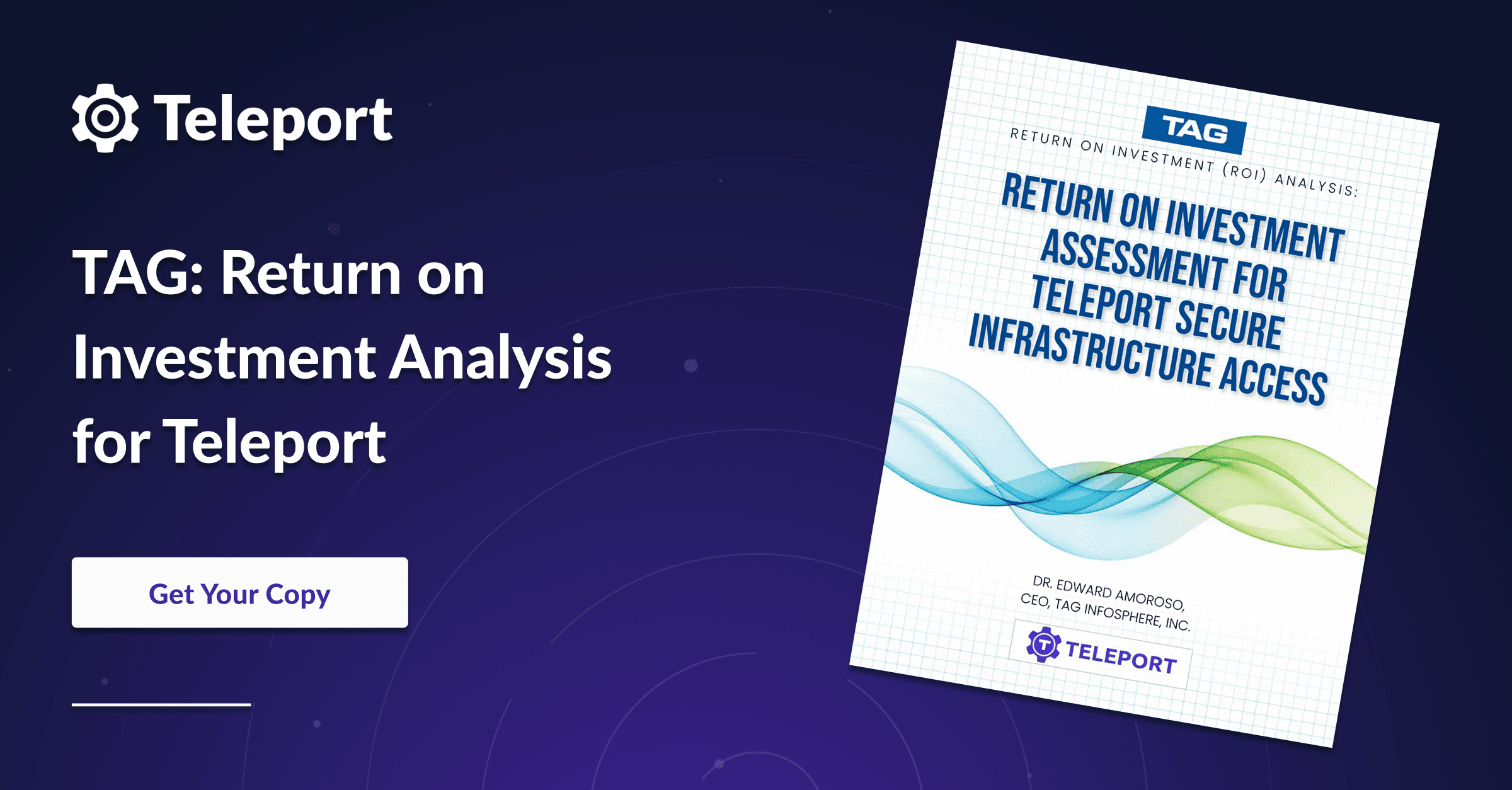 Return on Investment Analysis for Teleport 