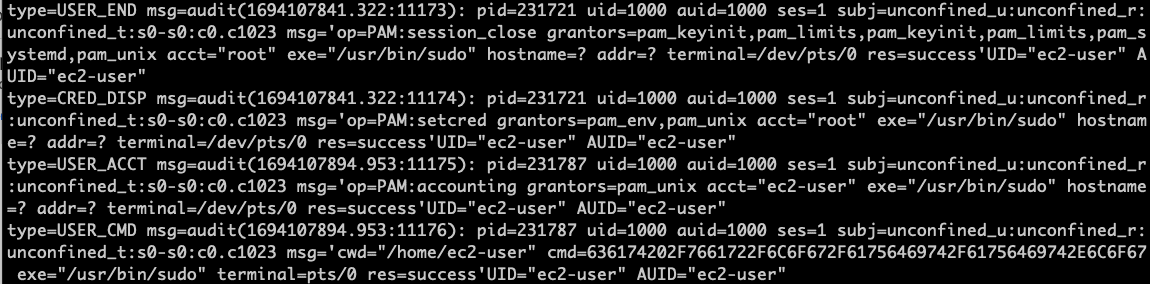 Terminal screenshot: auditd command output