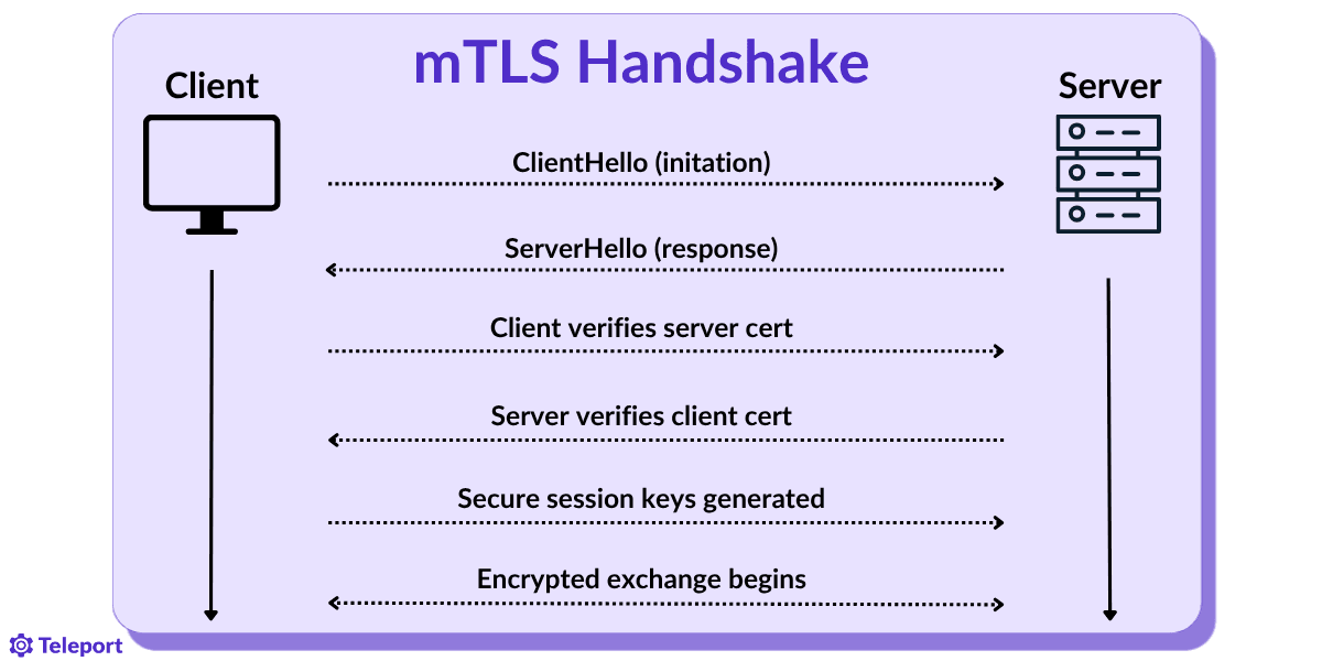 A simple diagram depicting the flow of an mTLS handshake from ClientHello, to certificate verification, to secure session key generation, to the final completion and beginning of the encrypted data exchange.