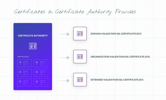 Certificate Types