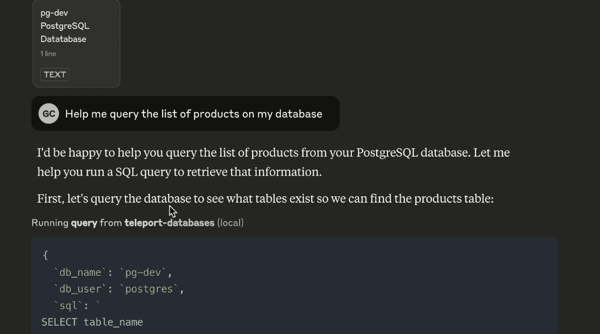 Claude AI analyzing database schema through MCP protocol