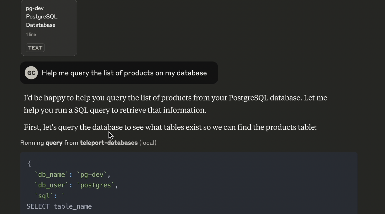 Claude AI analyzing database schema through MCP protocol