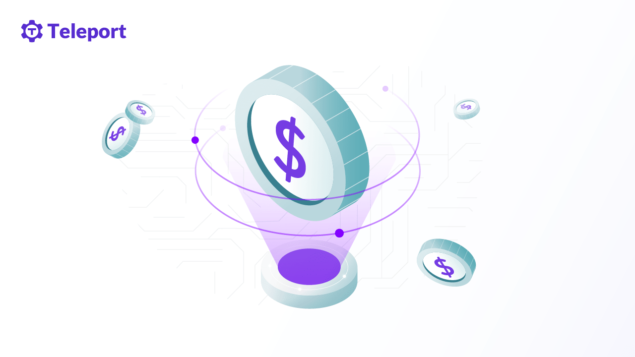 Why Financial Services Companies That Value Agility & Security Pick Teleport