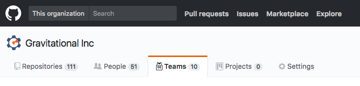Screen capture of Github showing the teams tab