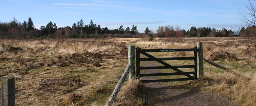false fence